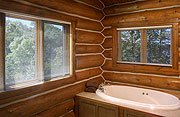 The Cottage on Lake Galena Master Suite Bathroom