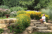 Skippy in Cottage Flower Garden